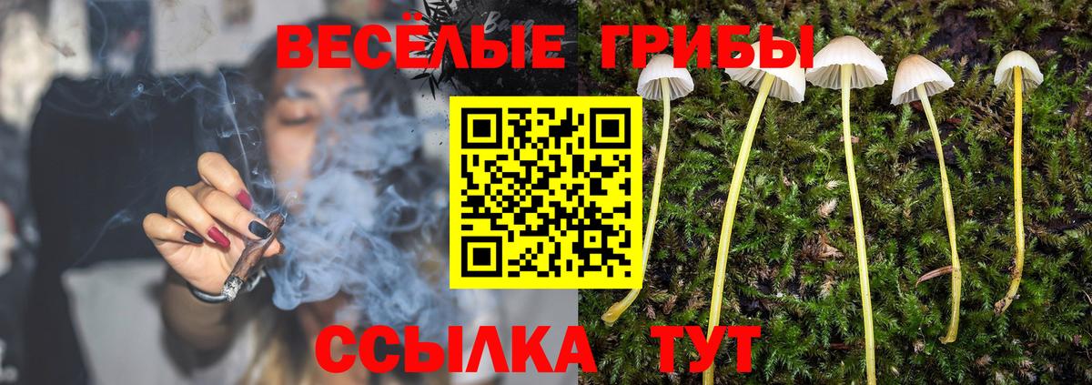 Галлюциногенные грибы GOLDEN TEACHER  Вход с VPN  где продают   Уфа  Псилоцибиновые грибы Magic Shrooms 