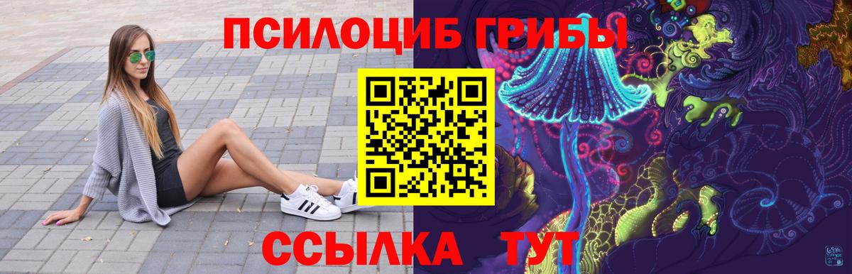 Псилоцибиновые грибы Psilocybe Уфа